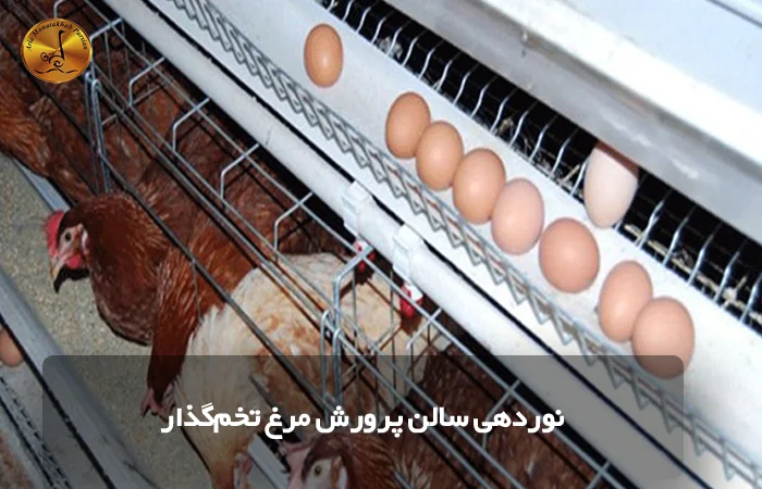 نوردهی سالن پرورش مرغ تخم_گذار