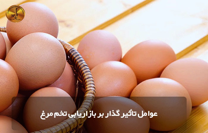 عوامل تأثیر گذار بر بازاریابی تخم مرغ